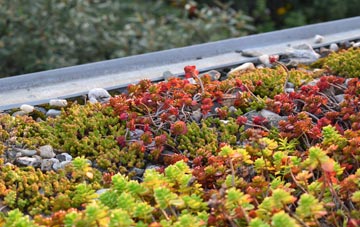 the cost of Scarwell green roof installation