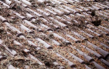 Scarwell roof cleaning companies