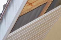 rated Scarwell soffit repair companies